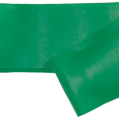 Pilates Loops Heavy 10 Pack / Green